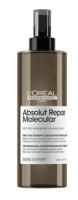 ABSOLUT REPAIR MOLECULAR Masque